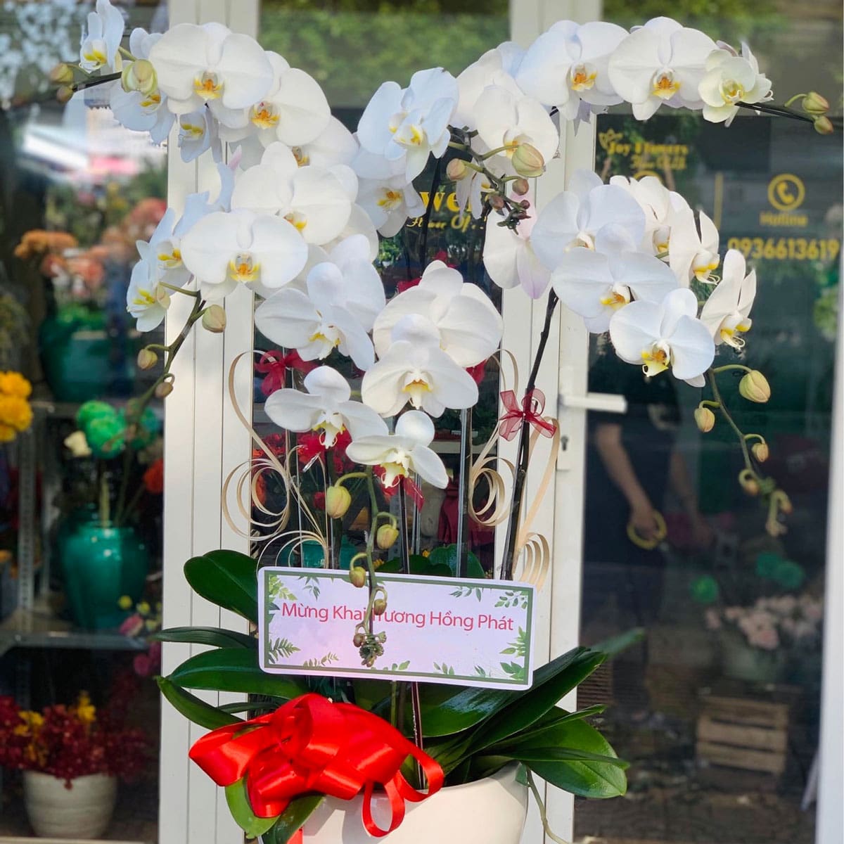Lan Hồ Điệp Joy Flowers
