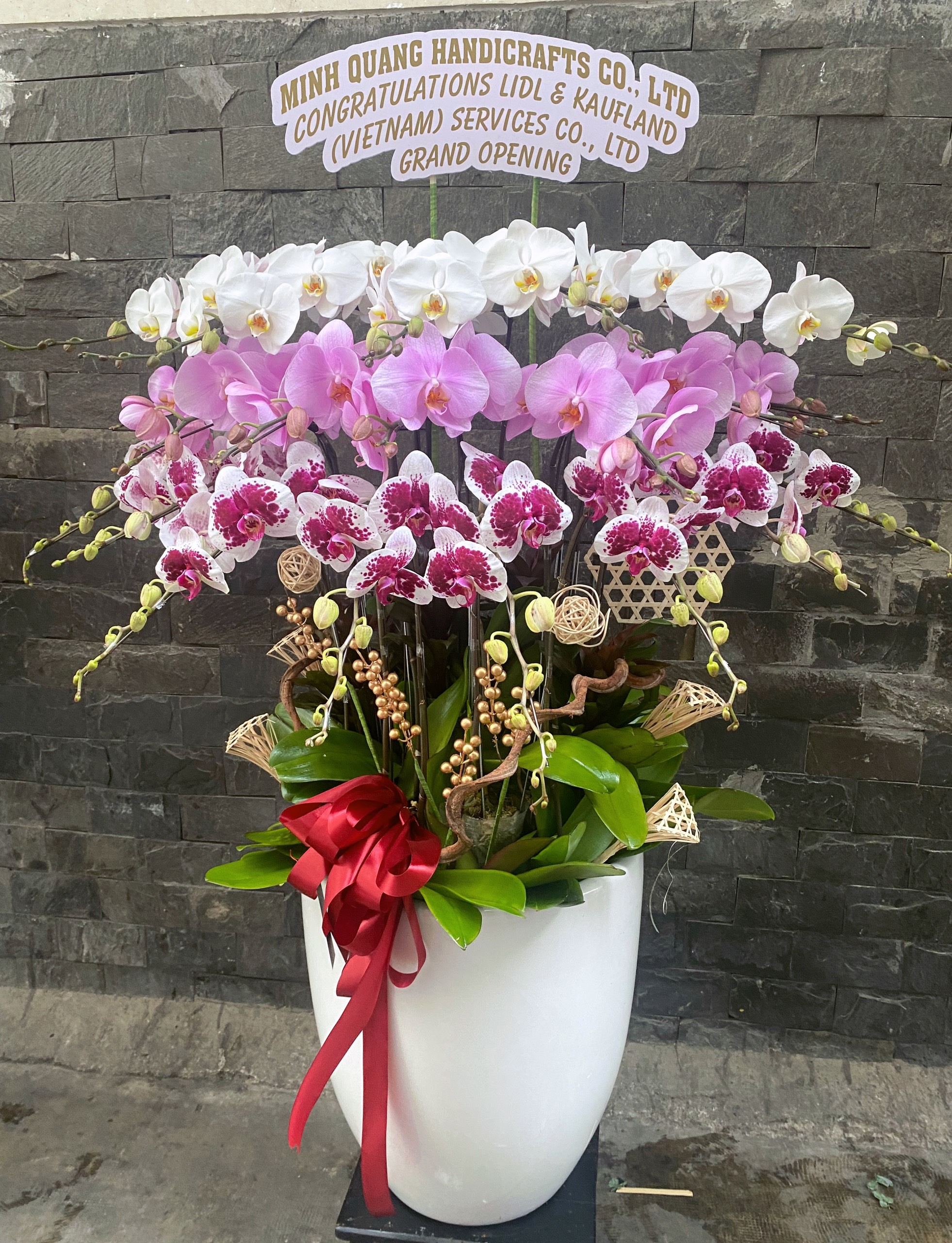 JFLHD017 Joy Flowers