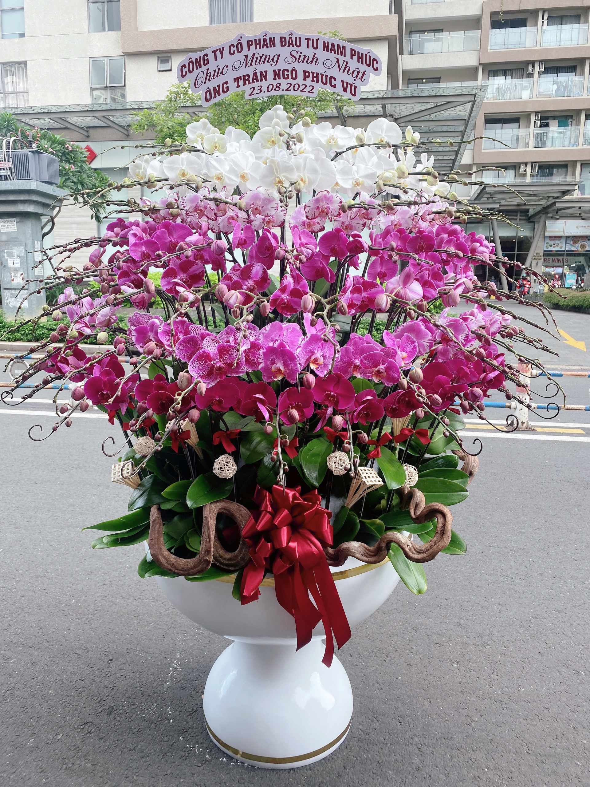 JFLHD018 Joy Flowers