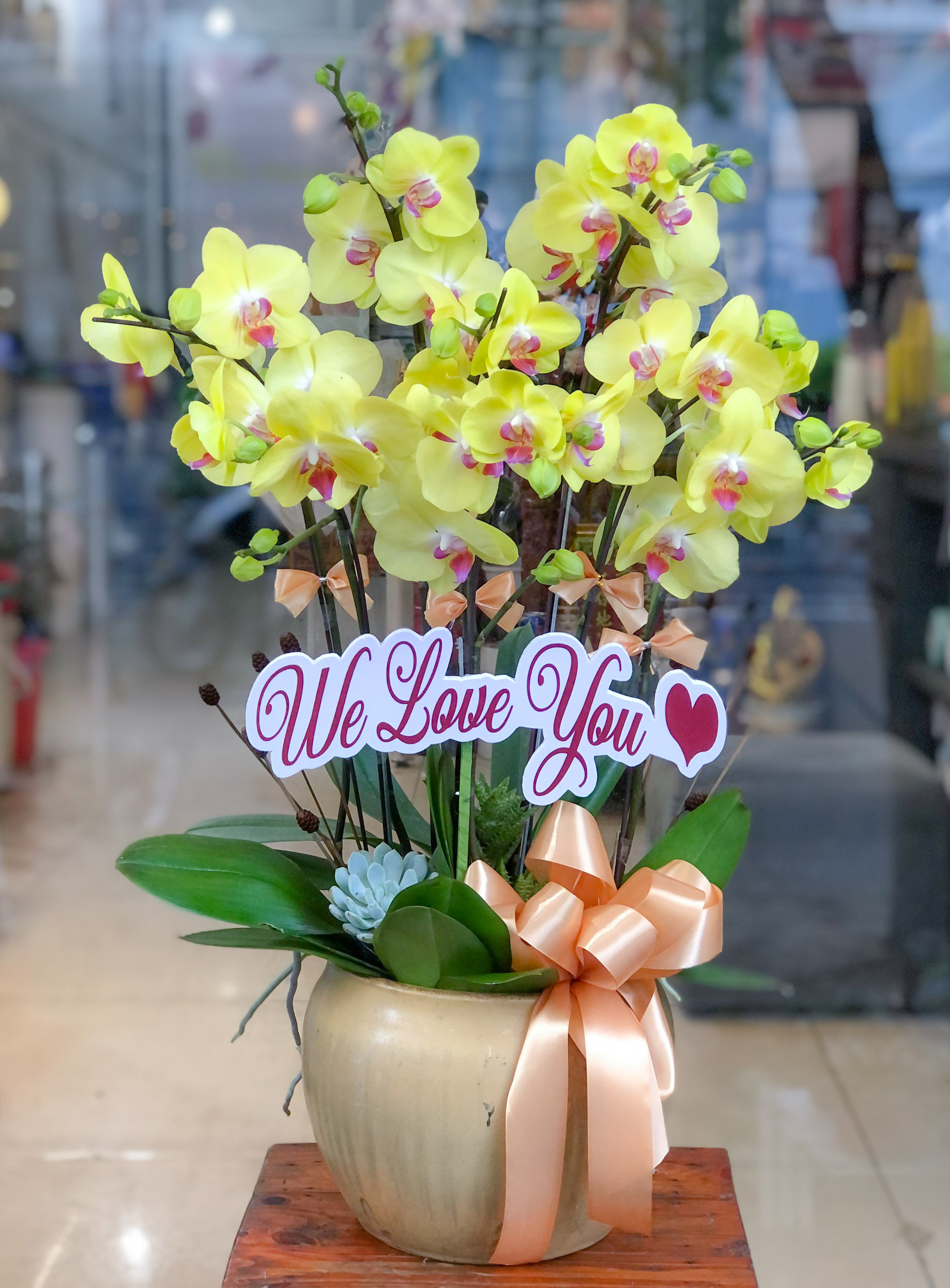 Lan Hồ Điệp Joy Flowers