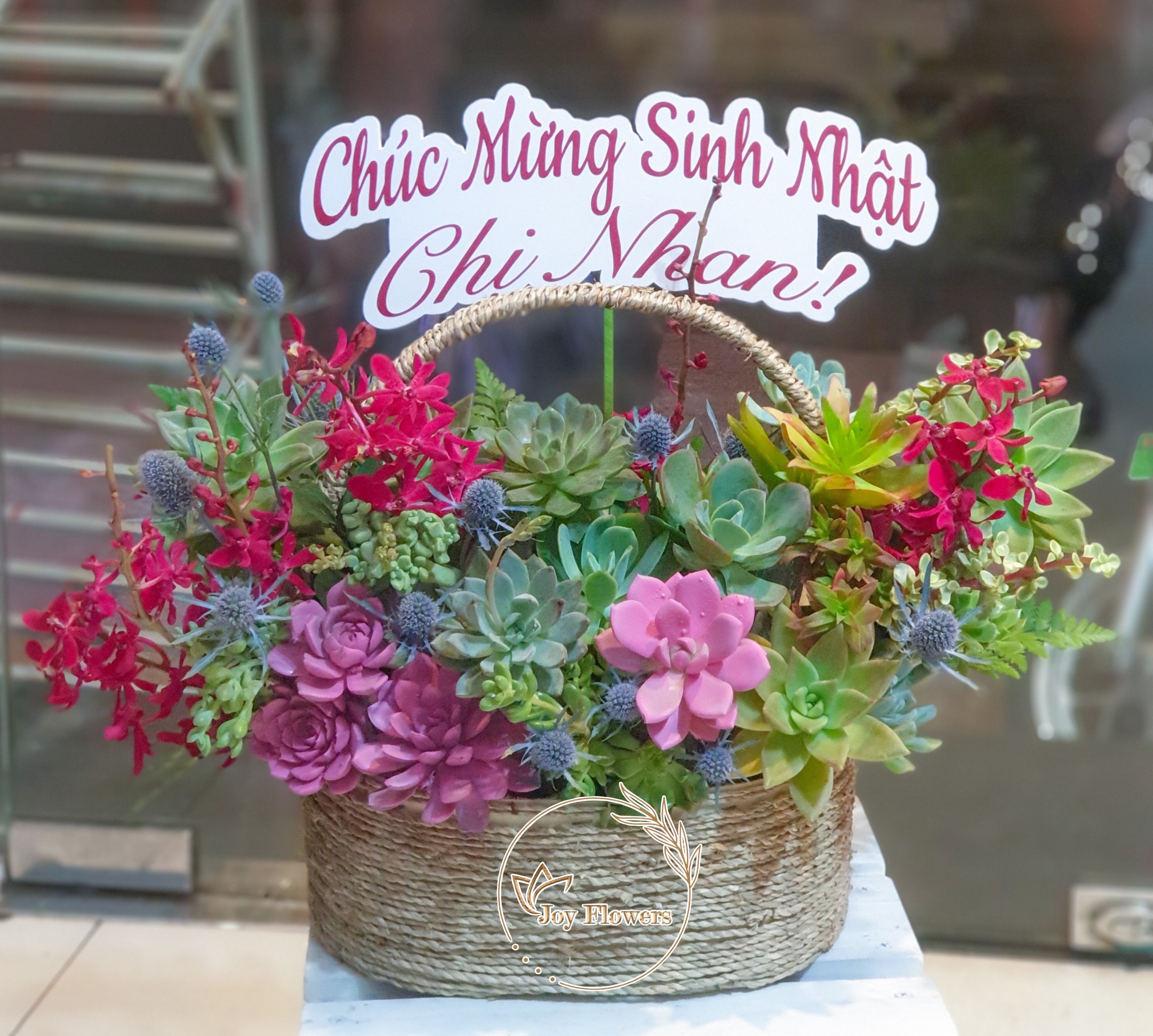 Sen Đá Joy Flowers
