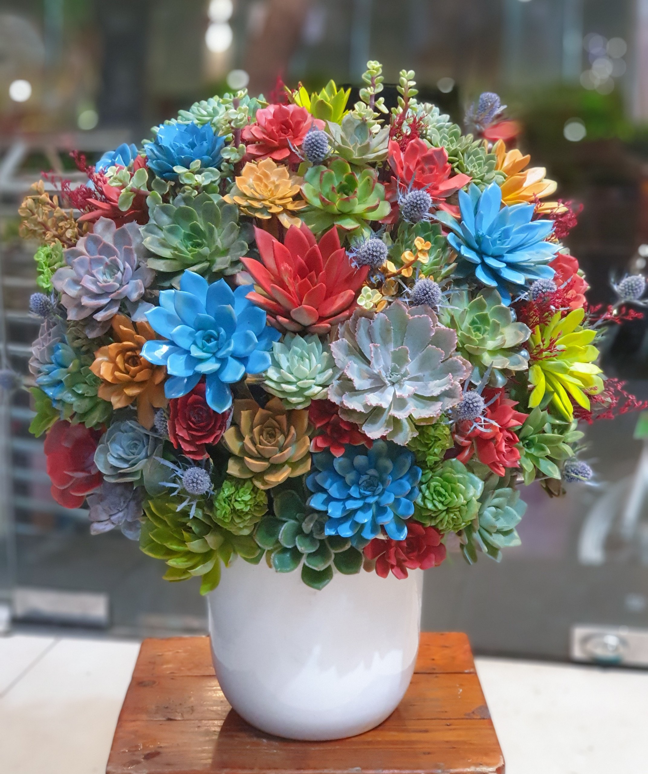 Sen Đá Joy Flowers